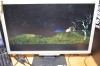 monitor Acer 19 wide AL1916W, format 16:10, 1440*900, 5ms, perfect functional