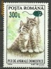 2001 - pui de animale, supr neuzata