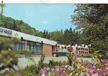labelling the circulatory system worksheet