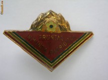 INSIGNA  FRUNTAS IN MUNCA PATRIOTICA foto