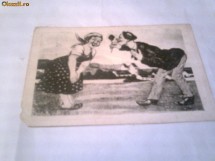 Carte Postala - Doi indragostiti \ Caricatura foto