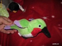 Jucarie din plus moale, WEBKINZ GANZ, pasarea mica verde(15cm) LIL'KINZ HUMMINGBIRD,nou, colectabil foto