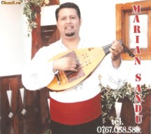 Formatia Marian Sandu foto