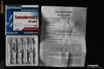 Testosteron Enantat 250mg/ml foto