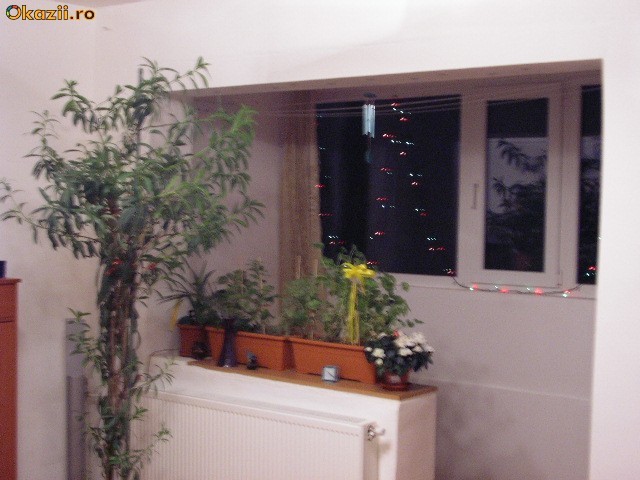 Apartament 3 camere foto mare