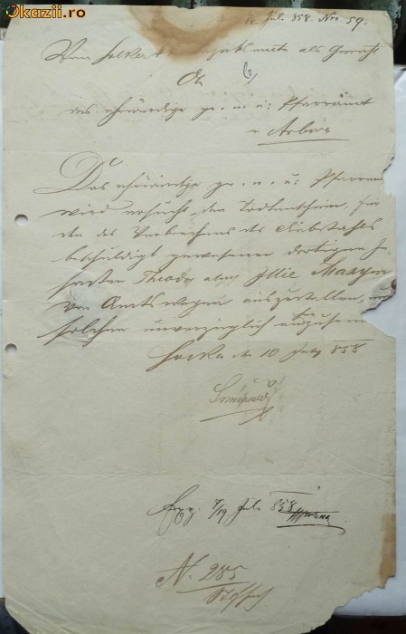 Document , Arbore , Bucovina austriaca , 1858 ,2 foto mare