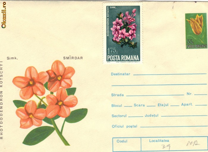 Intreg postal rododendron, cu timbru, necirculat foto mare