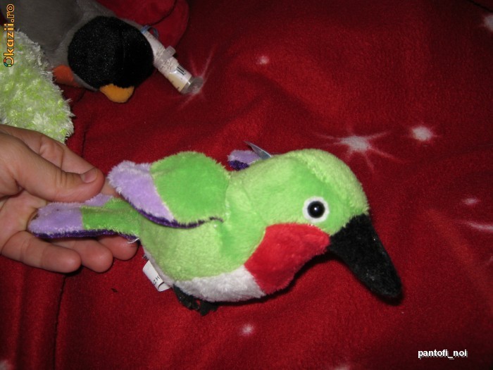 Jucarie din plus moale, WEBKINZ GANZ, pasarea mica verde(15cm) LIL'KINZ HUMMINGBIRD,nou, colectabil foto mare