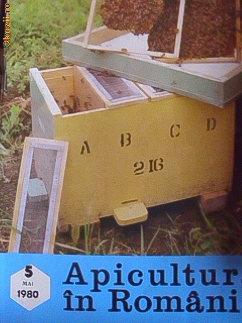 APICULTURA IN ROMANIA -MAI 1980 foto mare