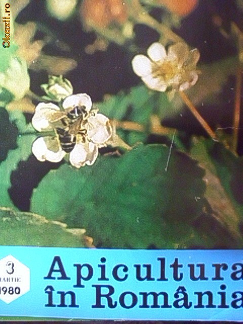 APICULTURA IN ROMANIA -MARTIE 1980 foto mare