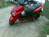 vind  scuter yamaha majestic  1,25 cm