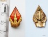 insigna rusia 40 ani