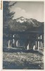 CFL 1938 ROMANIA ilustrata foto Cabana pe muntele Negoiu judetul Sibiu