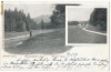 CFL 1907 Ardeal ROMANIA ilustrata mozaic peisaje de munte - Noa jud Brasov