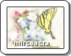 FELICITARE MUZICALA