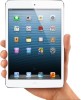 iPad Mini 64GB WiFi + 4G ALB | Echipa BOGUS | SIGILAT | STOC | GARANTIE 1 AN