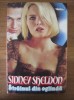 Sidney Sheldon - Strainul din oglinda