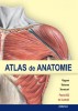Atlas de anatomie - 129258