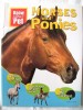 HORSES AND PONIES - KNOW YOUR PET, Honor Head, 2007. Cai si ponei. Carte in limba engleza. Absolut noua