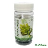 Astragalus (produs naturist pentru afectiuni cardiovasculare si renale)