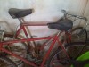 Semicursiere Pegas - Biciclete Pegas